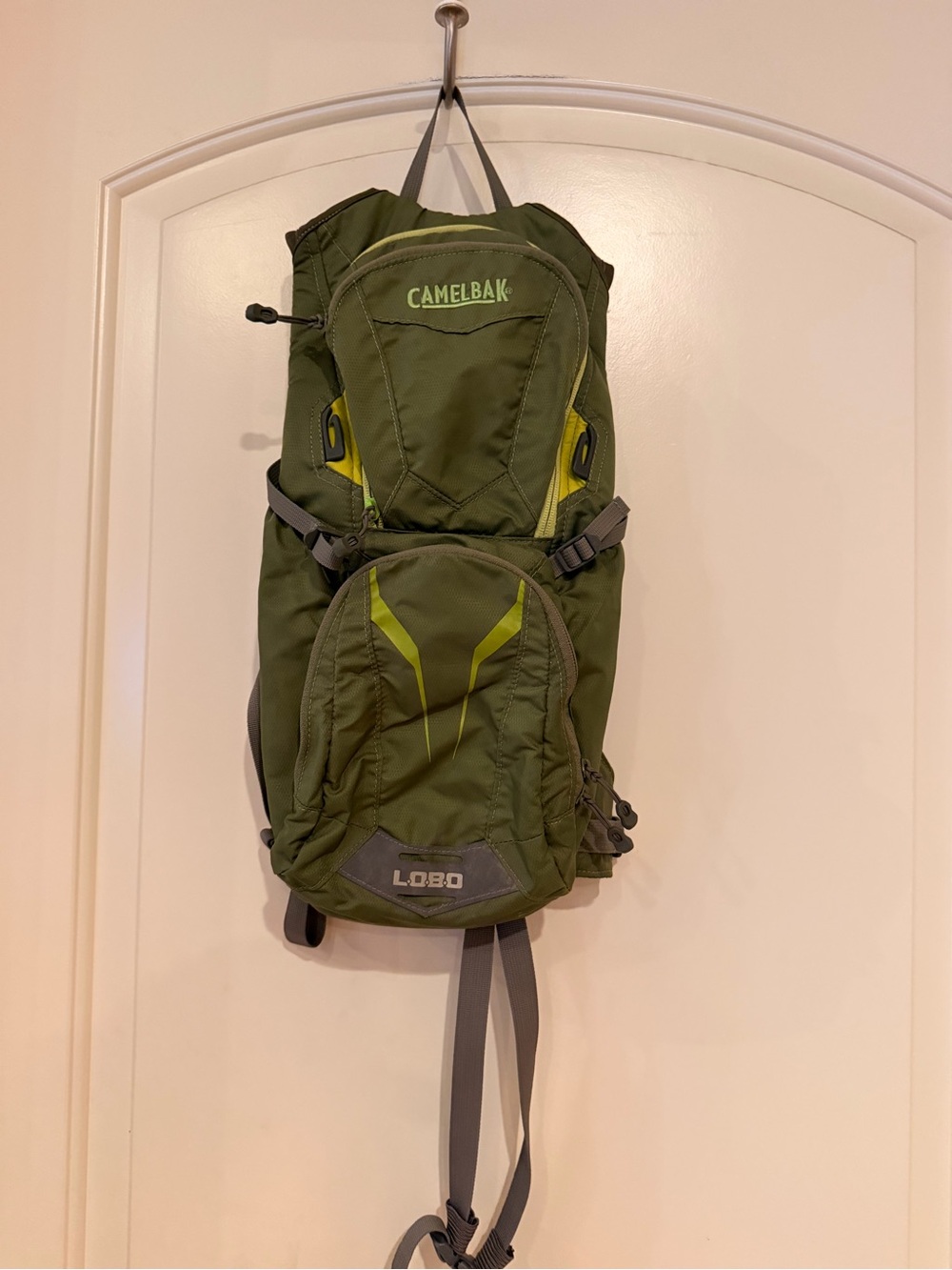 Green Camelback Lobo without Hydration pack EUC